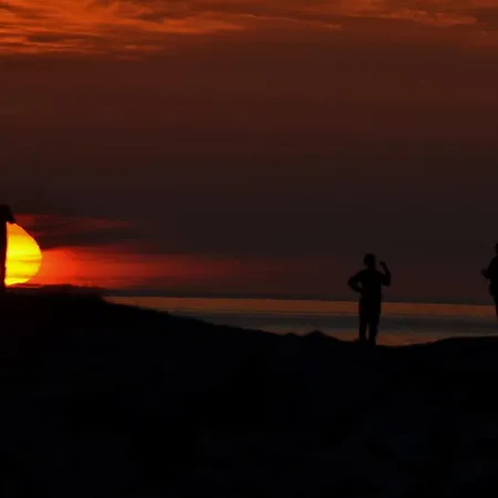 ميفجورد بريج