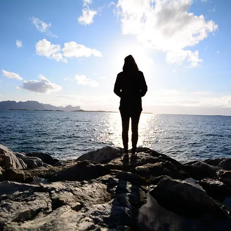 호텔 Mefjord Brygge 2*